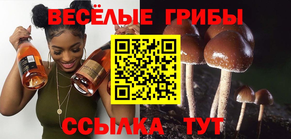 Галлюциногенные грибы ЛСД  Вход с VPN  как найти закладки  Артёмовский 